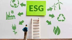 7 lições que aprendi empreendendo em ESG