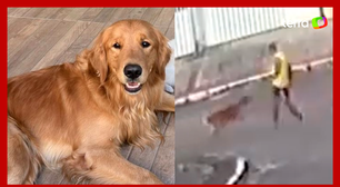 Golden Churros: vídeo mostra que PM foi atrás do cachorro para atirar em Guarapari (ES)