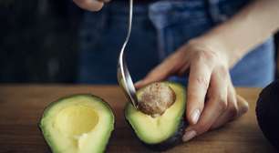 Tudo sobre abacate: veja por que fruta faz bem para a saúde e aprenda receitas