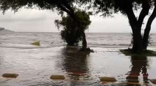 Vídeo: Água do Guaíba transborda em Ipanema e avança sobre avenida