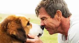 'Quatro Vidas de um Cachorro': a polêmica do filme da 'Sessão da Tarde'