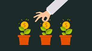 Investimento em startups: será que todas realmente precisam?