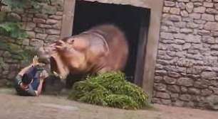 Hipopótamo ataca cuidador em zoológico da China; vídeo