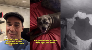 André Marques mostra adaptações que fez em casa para sua cachorra idosa