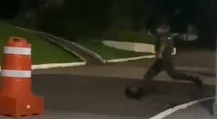 Exército diz que investiga conduta de militar que chutou animal em quartel; veja vídeo