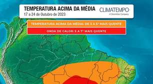 Como proteger as plantas no campo das altas temperaturas