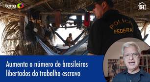 Aumenta o número de brasileiros libertados do trabalho escravo