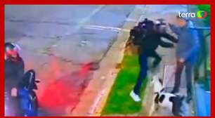 Cachorro se joga em homem, protege tutor e evita assalto em Santo André (SP)
