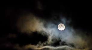 Previsões para o Halloween 2023 e um ritual para mudar o que precisa