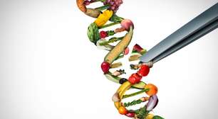 DNA influencia preferência por alimentos; entenda
