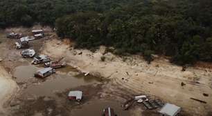 A maior floresta tropical do planeta começou a morrer: e agora?