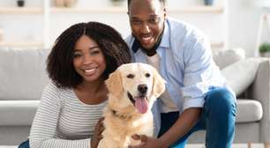10 nomes para cachorros da raça golden retriever