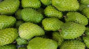 Graviola: 4 benefícios da fruta e de seu suco