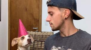 Cachorro de rua muda vida de influenciador: "Comecei a me sentir hipócrita"
