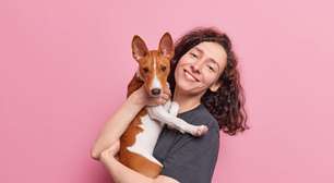 Veja a importância do enriquecimento ambiental para o cachorro