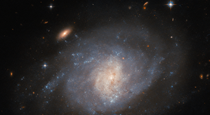 Astrônomo amador encontra supernova em galáxia espiral