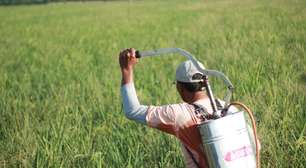 Enem 2023: agro cai novamente em questão do 2º dia; veja mais temas