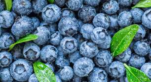 Mirtilo ou blueberry: confira os benefícios dessa frutinha para a sua saúde