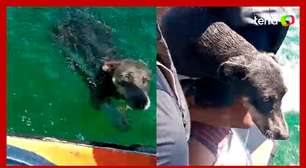Cachorra que se afogava nas águas do Rio São Francisco é resgatada por pai e filho