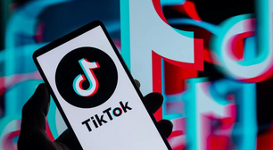 Voz da Ludmilla e Luva de pedreiro: veja o que bombou no TikTok em 2023