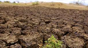 Brasil registra região árida de deserto: o que isso significa?