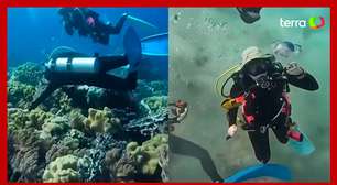 Mergulhador registra momento em que terremoto atinge o fundo do mar