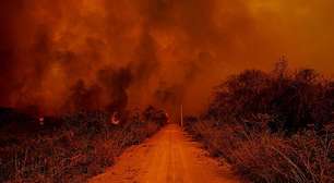 Incêndios no Pantanal atingem a rodovia Transpantaneira