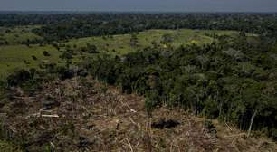 Entenda como a Amazônia afeta o clima do mundo todo