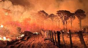 Confira os incêndios florestais mais mortais do século XXI