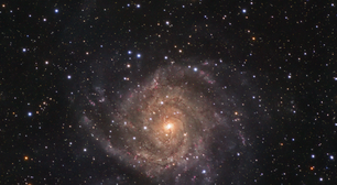 Destaque da NASA: IC 342, a Galáxia Oculta, é foto astronômica do dia