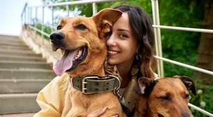 10 vantagens de ter mais de um cachorro em casa