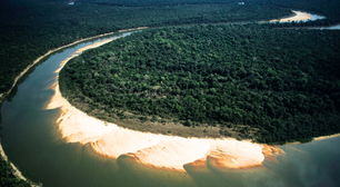 Maior ilha fluvial do mundo é brasileira, 'rica' e aberta a visitas; veja