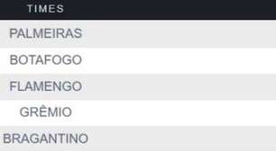 Após empate do Botafogo, Palmeiras vê chance de título brasileiro superar 50%