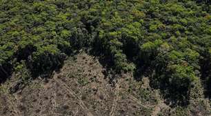 Brasil deve desmatar área equivalente a MG até 2050, projeta estudo de Oxford