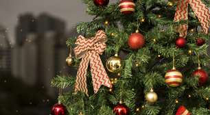 Árvore de Natal: origem e significado