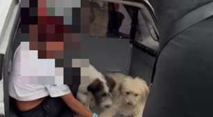 Polícia prende mulher que furtava lojas com cachorros de estimação em São Paulo