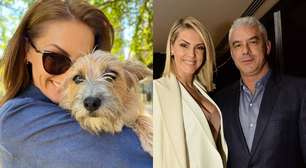Quem é o cão resgatado que, segundo Ana Hickmann, a defendeu de agressão do marido?