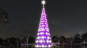 Maior árvore de Natal de SP será inaugurada no Parque Ibirapuera