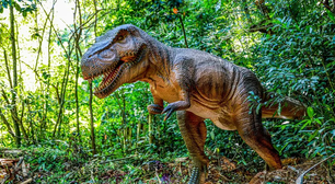 Pesquisadores identificam nova espécie de dinossauro em Araraquara