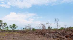 Clima extremo no Nordeste: secas, desmatamento e urgência