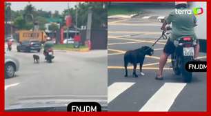Tutor arrasta cachorro de moto pela cidade