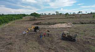 Fiscais da Semad flagram desmatamento e aplicam multa de R$ 224 mil em Crixás