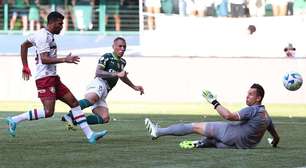 Palmeiras vence o Flu e precisa de pouquíssimo para ser campeão