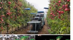 Estes robôs usam até ventosas para colher frutas em Portugal e no Reino Unido