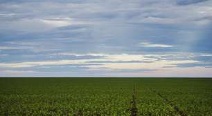 Exportações do agronegócio brasileiro crescem 3% em 2023, diz CNA