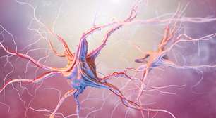 Robô biológico estimula o crescimento de novos neurônios