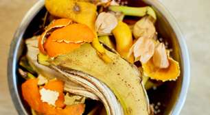 7 cascas de frutas que você deveria consumir para ter mais saúde