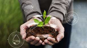 Startups em área agrícola crescem mais de 300% na região Norte