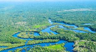 Noruega anuncia doação de US$ 50 milhões para Fundo Amazônia