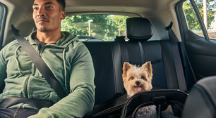Uber cria serviço Pets para transporte de cães e gatos em corridas pelo app